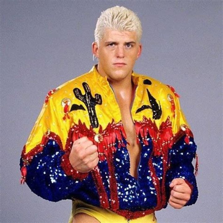 Dustin Rhodes (Character) Giant Bomb