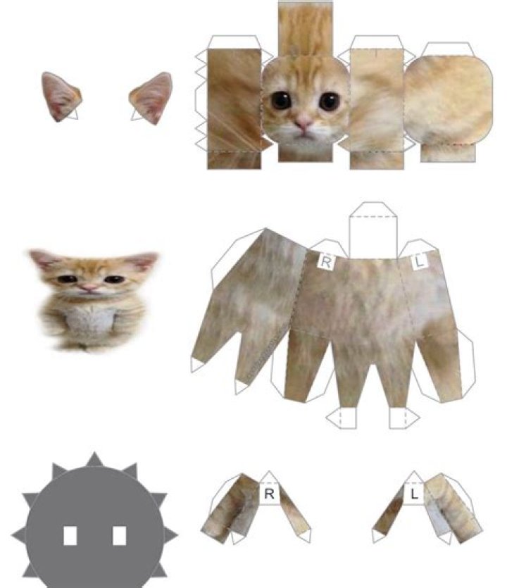 El Gato Cat Meme Cutouts Tik Tok