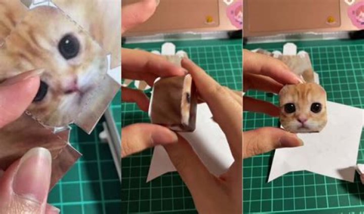 El Gato TikTok Viral Video Explained How To Get The El Gato Cat Print