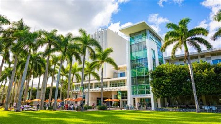 Exploring The Rich Resources Of The University Of Miami Library