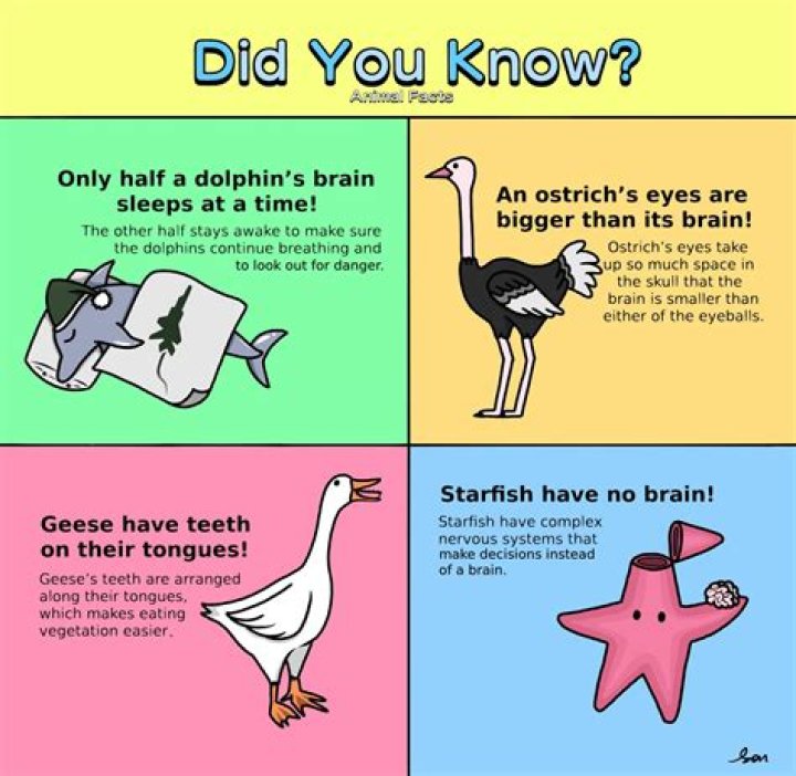 Facts You Don't Know About Catie McCoy Francoeur LucyKingdom