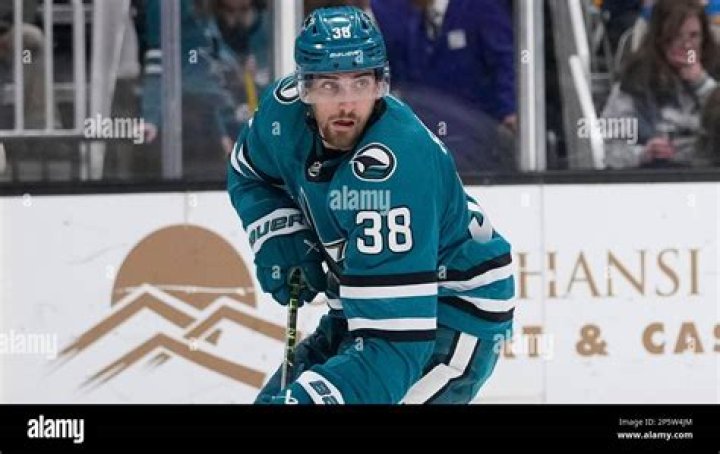 Ferraro's Impact On The San Jose Sharks
