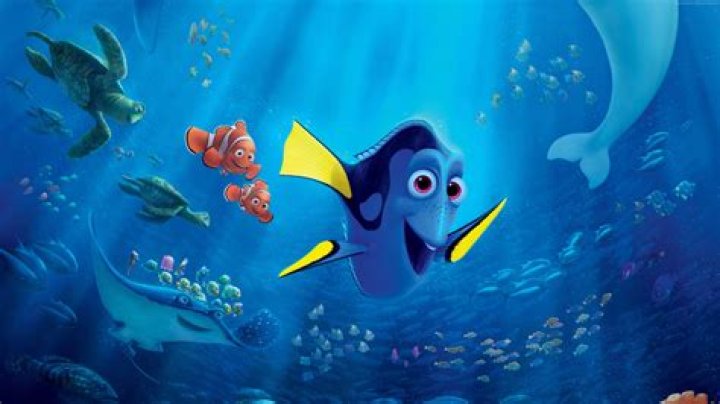Finding Dory Finding dory Fan Art (39711482) Fanpop