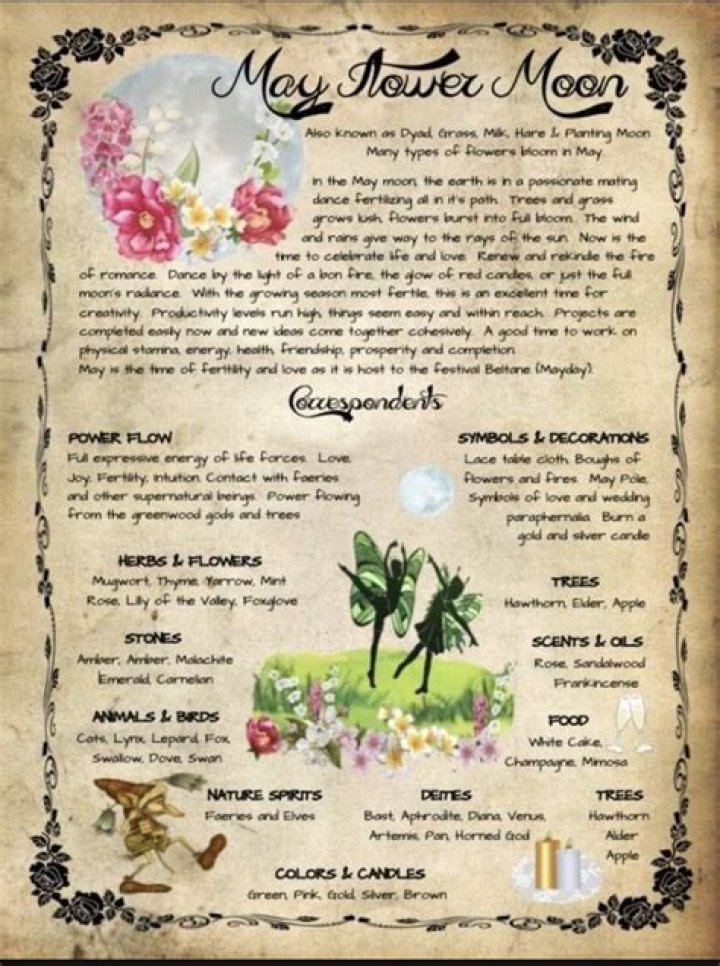 Flower Faeries Wiccan spell book, Fairy spells, Faeries
