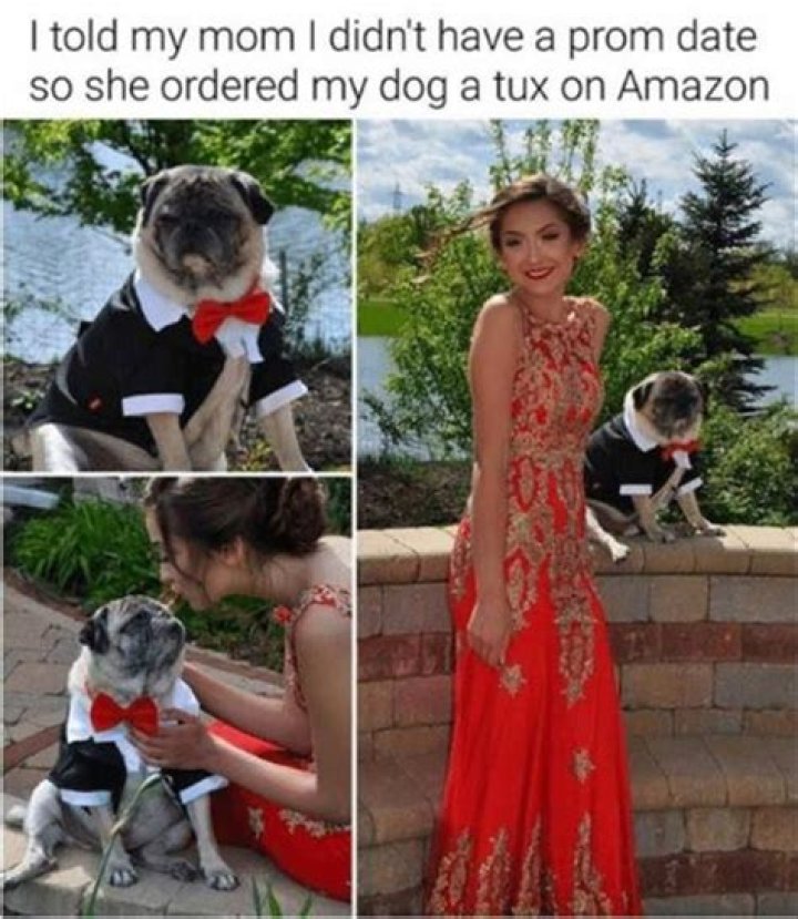 funny prom pictures (9) Dump A Day