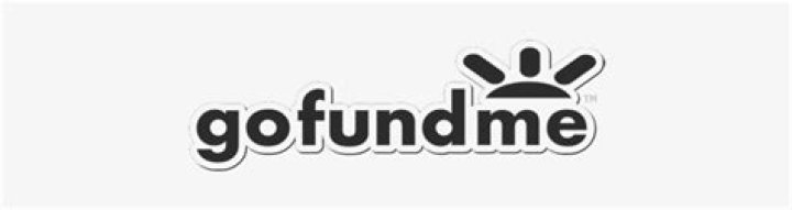 Go Fund Me Logo Transparent PNG 1000x1000 Free Download on NicePNG