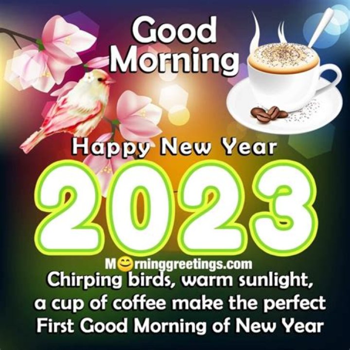Good Morning 2023 Happy New Year Wishes & Quotes Happy Birthday