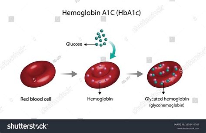 HgbA1C, hba1c, glycosylated hemoglobin and normal a1c Doctablet®
