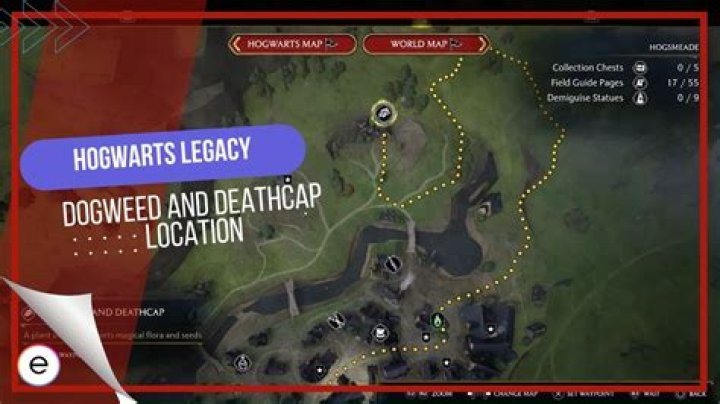 Hogwarts Legacy Dogweed and Deathcap location