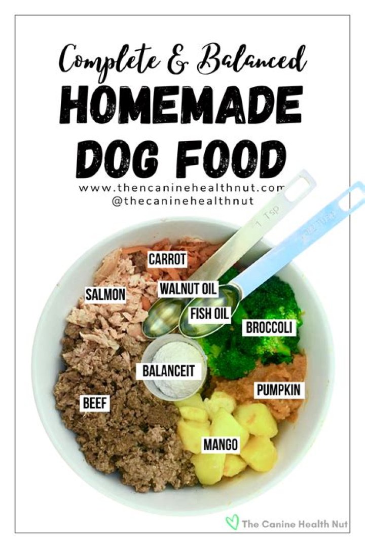 Homemade Balanced Dog Food Recipe Paws Dog food recipes, Pet