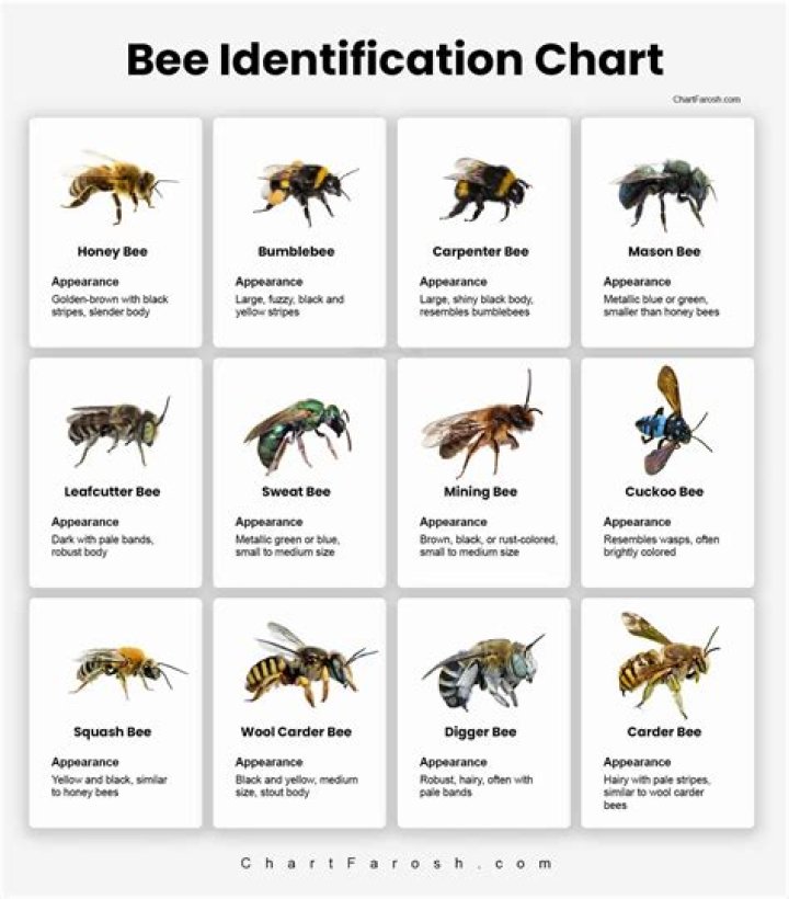 How Each of the Bee Gees Died Facts Verse