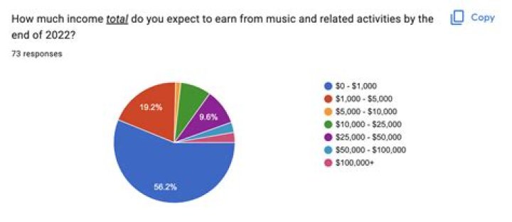 How Much Does A Musician Make Per Concert Audiolover