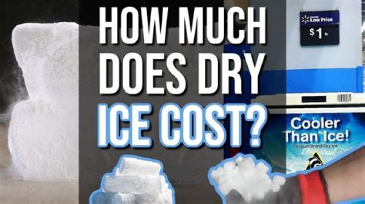 How much does an Ice Road Trucker make? Ice Road Truckers Cast Salary