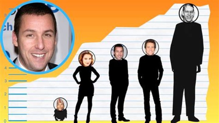 How Tall Is Adam Sandler Hedge the book