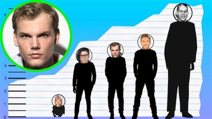 How Tall Is Avicii? Height Comparison! YouTube