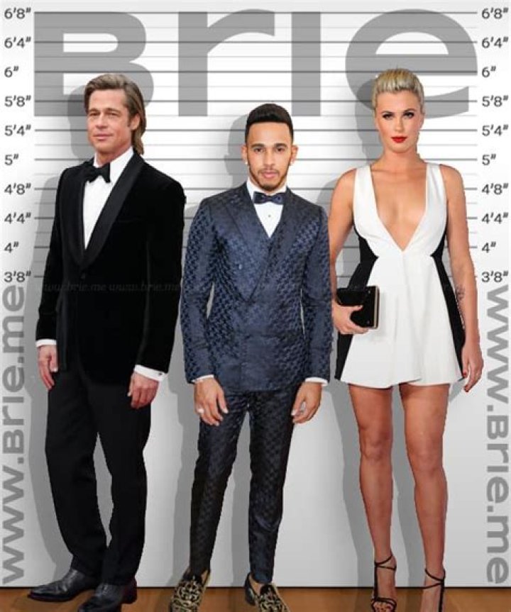 How Tall is Lewis Hamilton? insights on F1 Drivers' Heights