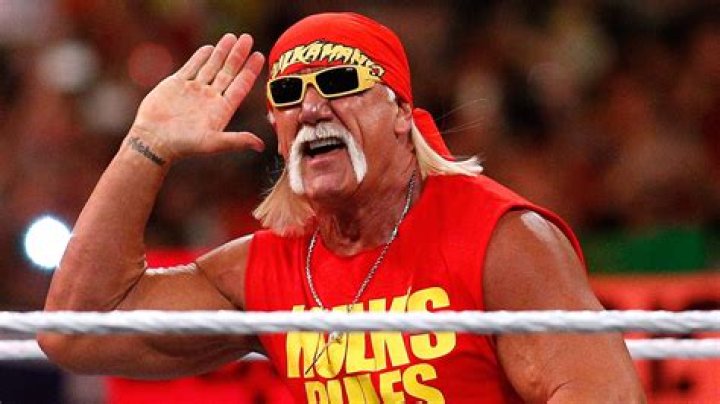Hulk Hogan's Mom: The Matriarch Of The Wrestling Icon