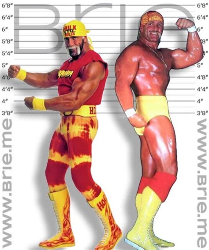 Hulk Hogan Height How Tall is Terry Eugene Bollea? Hood MWR