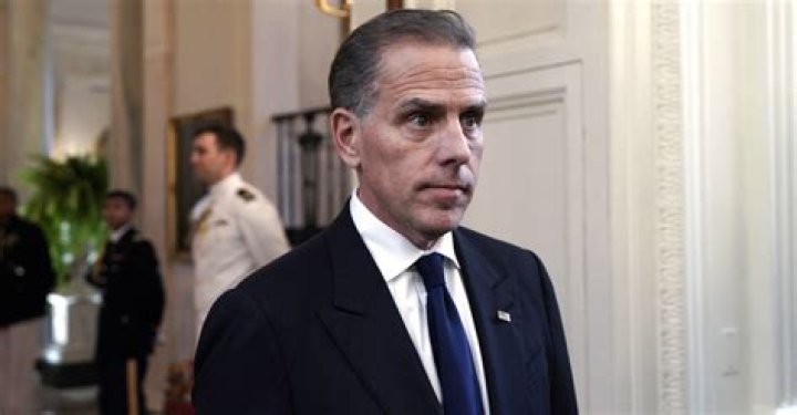 Hunter Biden doesn't REMEMBER meeting exstripper who he fathered a