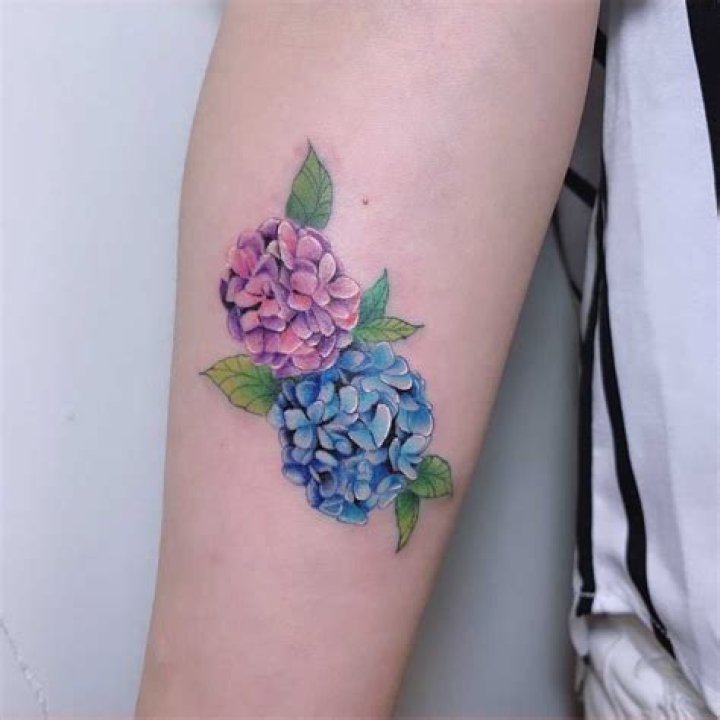 Hydrangea tattoo 60+ beautiful ideas and their meanings