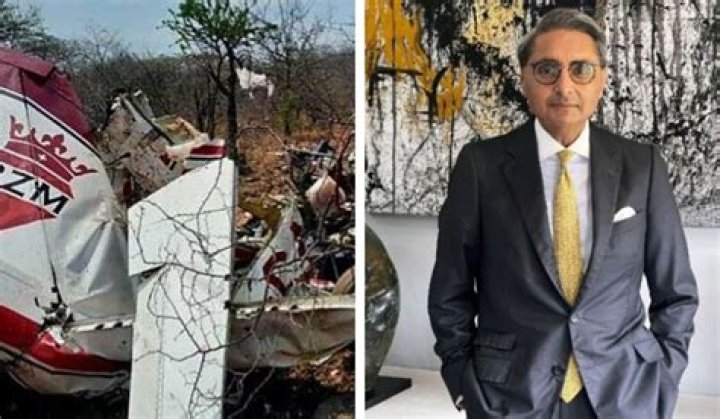 Indian Billionaire Harpal Randhawa and Son Amer Among 6 Killed in