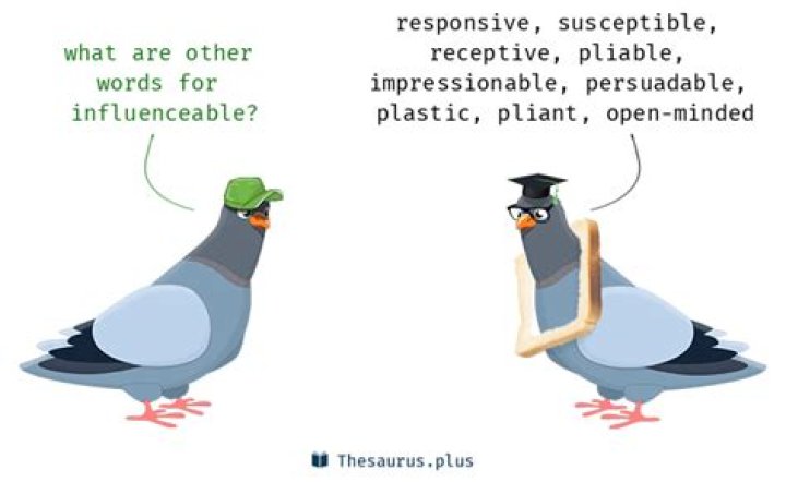 Influenceable synonyms 227 Words and Phrases for Influenceable
