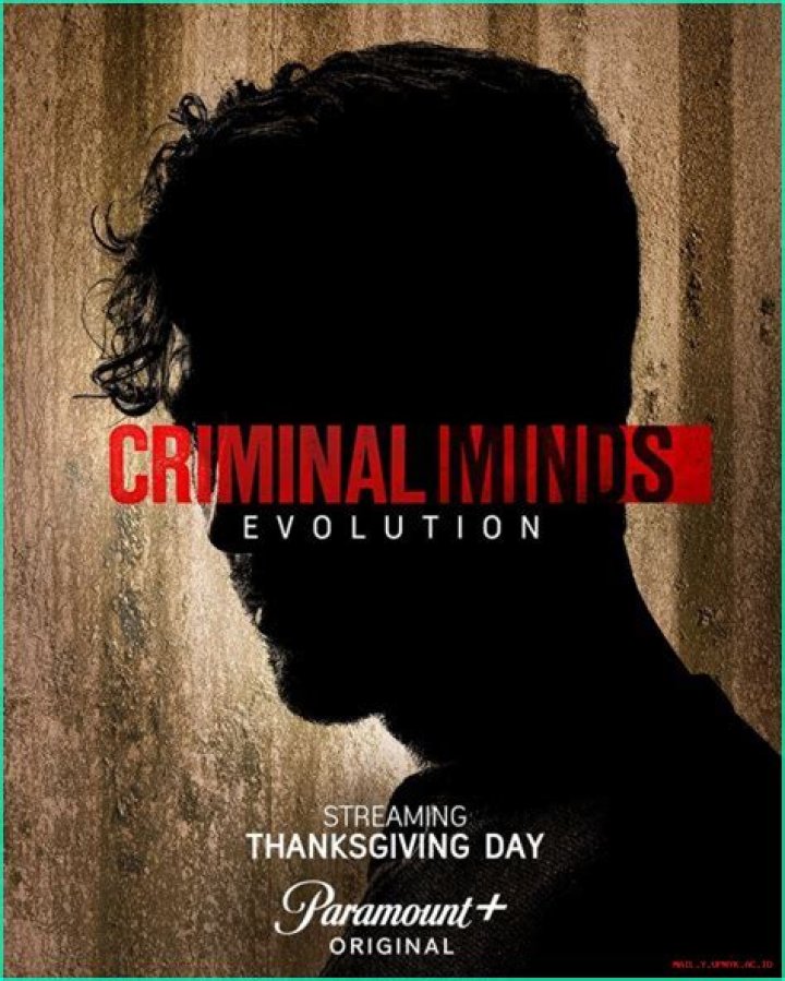 Intriguing Insights Into Matthew's Journey On Criminal Minds