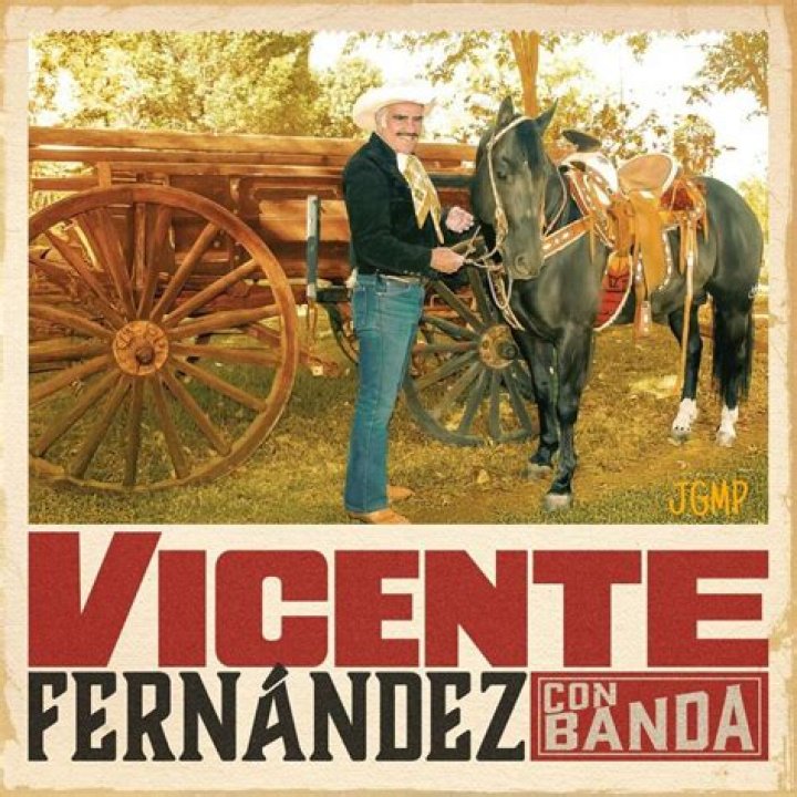 &iquest;De qu&eacute; muri&oacute; Vicente Fern&aacute;ndez?