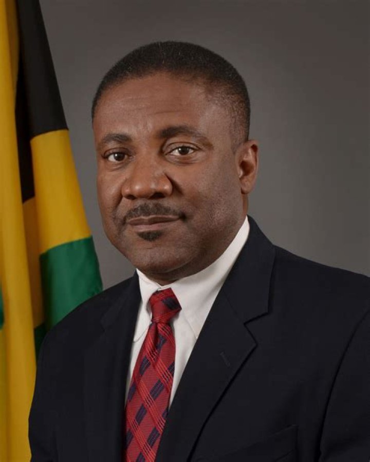 Jamaican MP Phillip Paulwell's daughter and her mother have seemingly