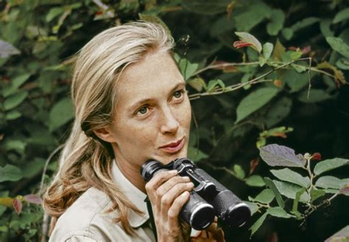 Jane Goodall , with her first husband Hugo van Lawick, and son Hugo