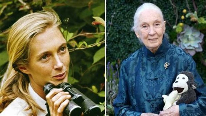 Jane Goodall&rsquo;s Grandchildren Facts About Hugo Eric Louis van Lawick&rsquo;s Kids