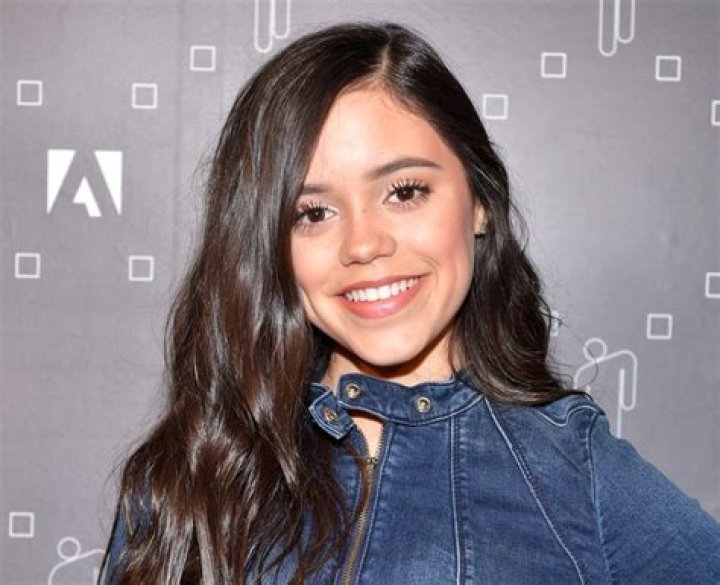 Jenna Ortega Puerto Rican Ancestry, Silver Outfits, Jennifer Coolidge