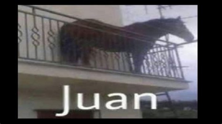 Juan horse meme YouTube