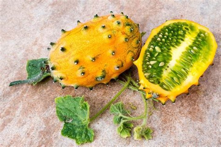 Kiwano Tree