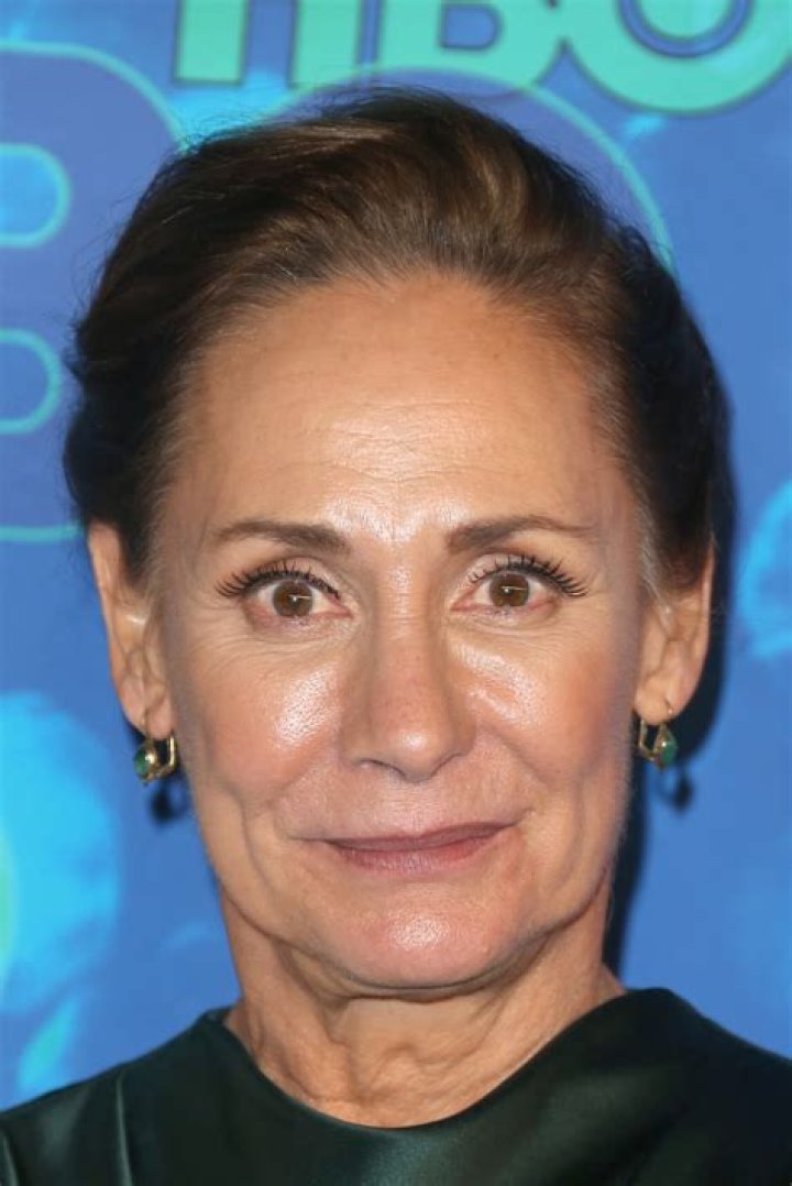 Laurie Metcalf's Daughter An Inspiring Story Of Motherhood And Success