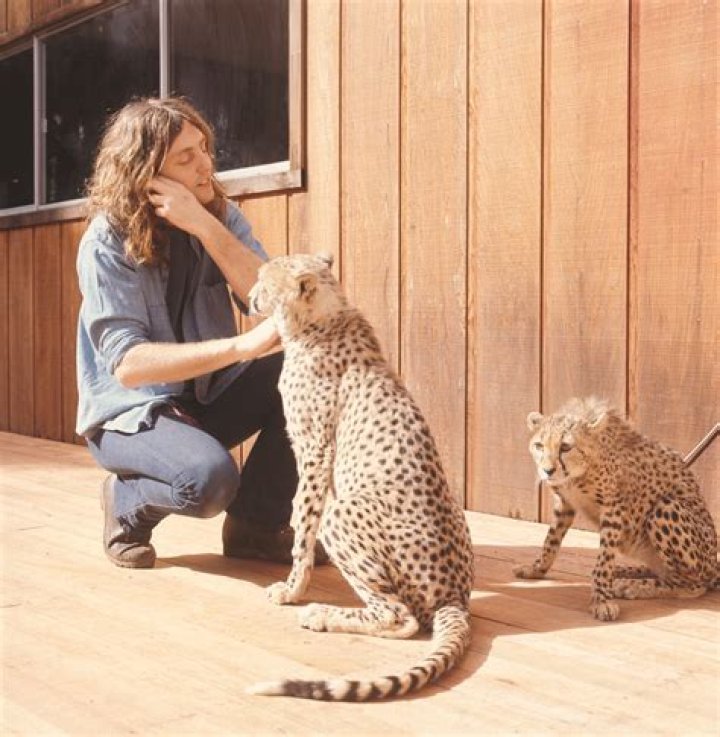Lee Michaels: Unraveling The Secrets Of His Wife
