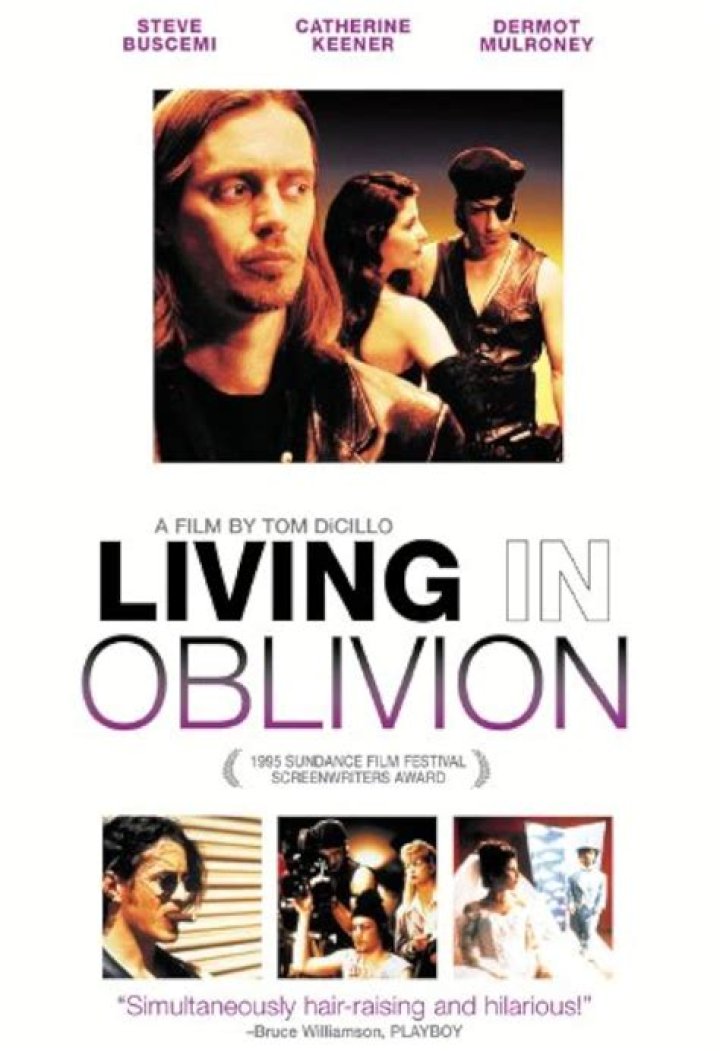 Living in Oblivion (1995)