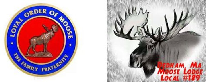 Loyal Order of Moose Lodge 2267 13 Photos Hotels 6191 Rock Island