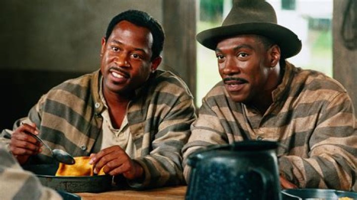 Martin Lawrence Movies Ultimate Movie Rankings