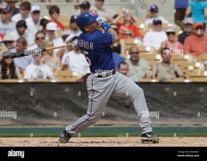Matt Treanor Baseball: The Ultimate Guide To His Career