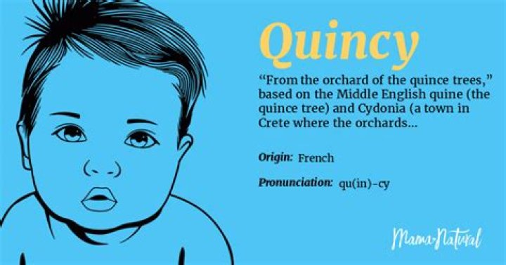Meaning For The Name Quincy random business name