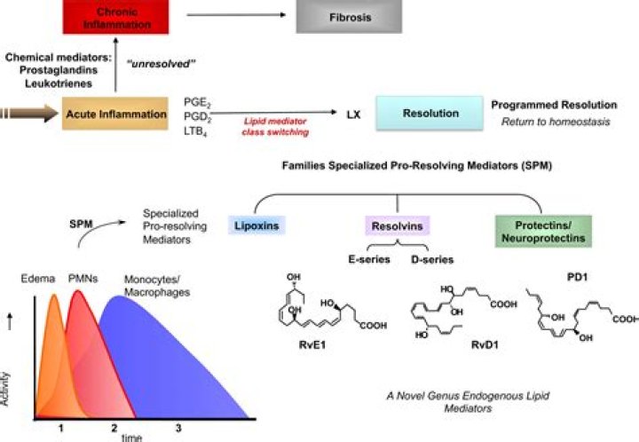 Mediators of the Resolution of the Inflammatory Response Trends in