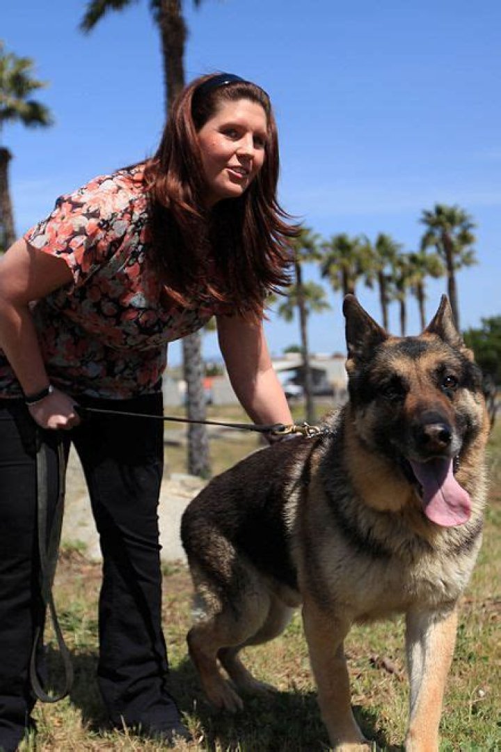 Megan Leavey Wikipedia, la enciclopedia libre