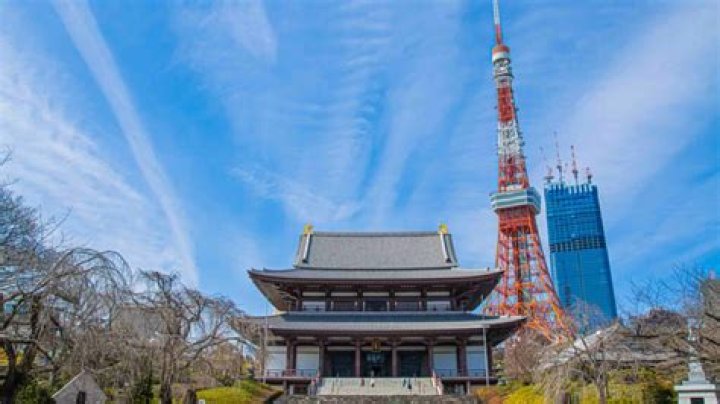 Metropolis Japan