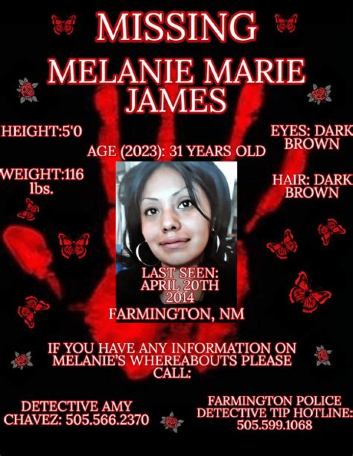 Missing: The Disappearance Of Melanie Palmer