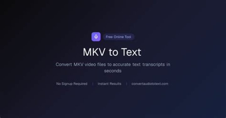 MKV to TEXT 100 Free & Online