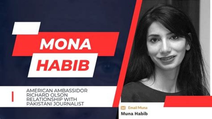 Mona Habib Journalist Wikipedia Relationship Richard Olson