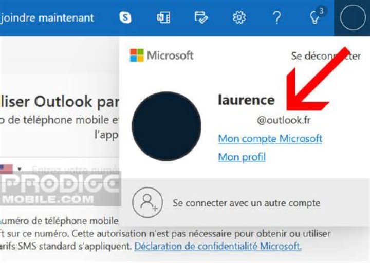 MSN France, Outlook, Skype, Hotmail, Messenger Pearltrees