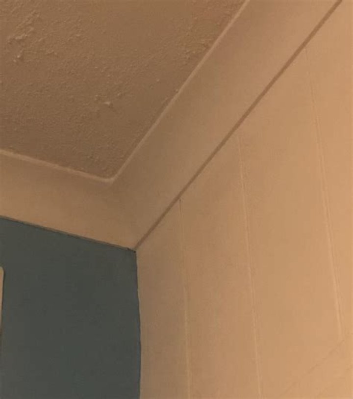 My Very Own Corner of the World BandAids Don't Fix Bullet Holes. Now