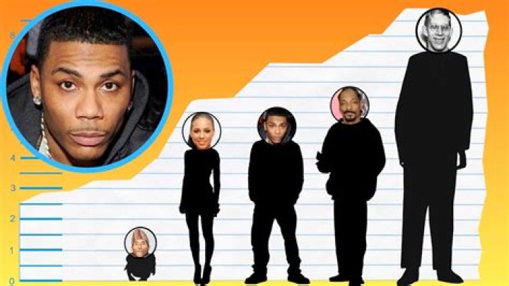 Nelly Height (With Visual Comparison) Heartafact